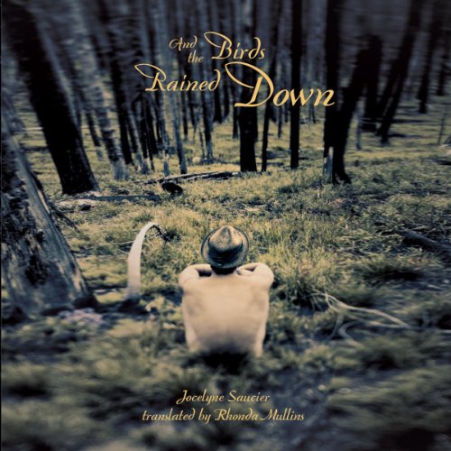 Cover of And the Birds Rained Down