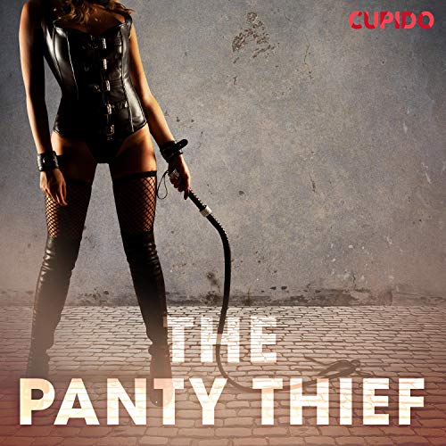 Cover of The Panty Thief