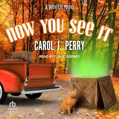 Cover of Now You See It