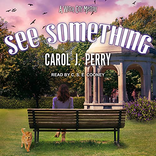 Cover of See Something