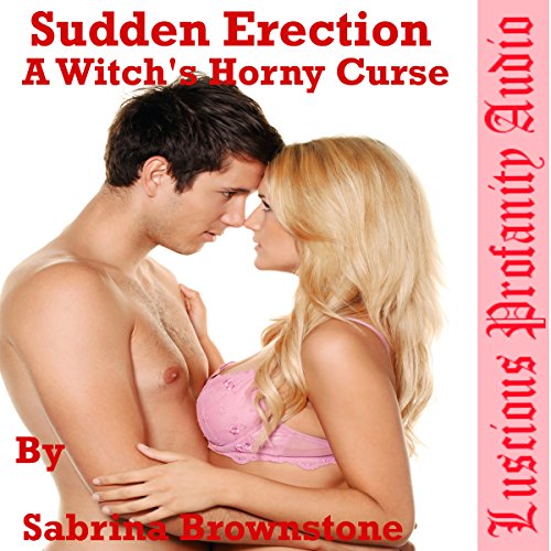 Cover of Sudden Erection