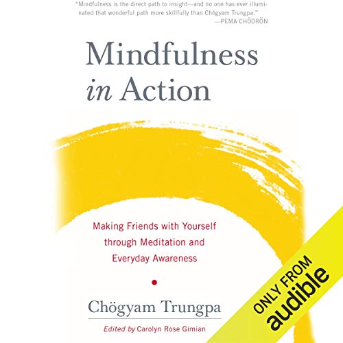 Cover of Mindfulness in Action