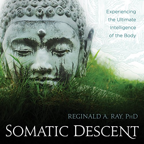 Cover of Somatic Descent