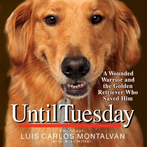 Cover of Until Tuesday
