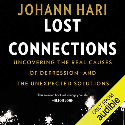 Cover of Lost Connections