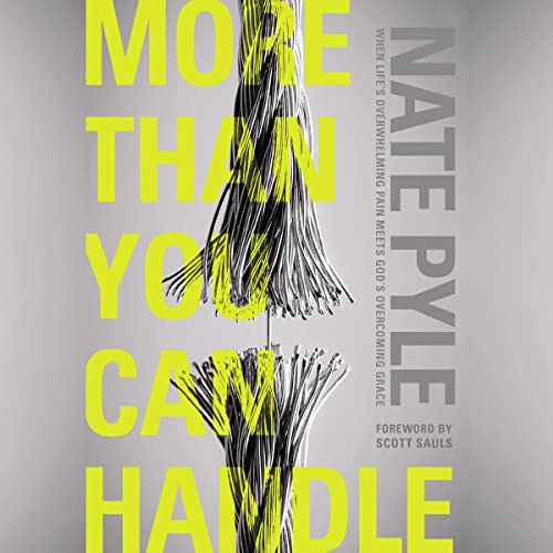 Cover of More Than You Can Handle