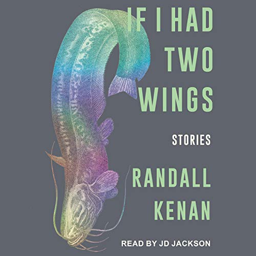 Cover of If I Had Two Wings