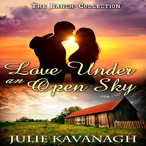 Cover of Love Under an Open Sky