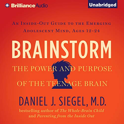 Cover of Brainstorm