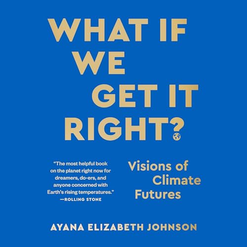 Cover of What If We Get It Right?