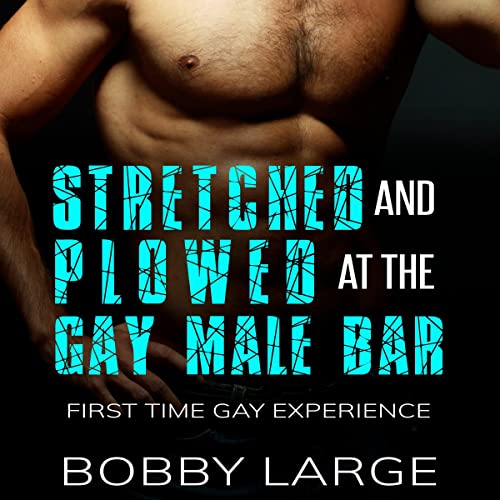 Cover of Stretched and Plowed at the Gay Male Bar