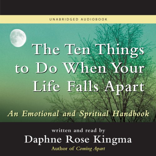 Cover of The Ten Things to Do When Your Life Falls Apart