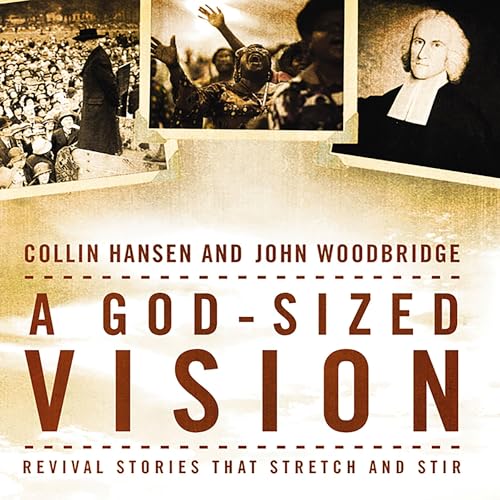 Cover of A God-Sized Vision