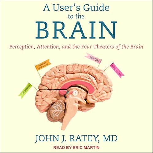 Cover of A User's Guide to the Brain