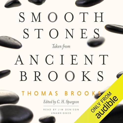 Cover of Smooth Stones Taken from Ancient Brooks