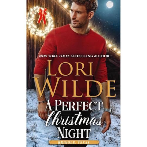 Cover of A Perfect Christmas Night
