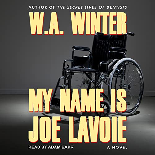 Cover of My Name Is Joe LaVoie