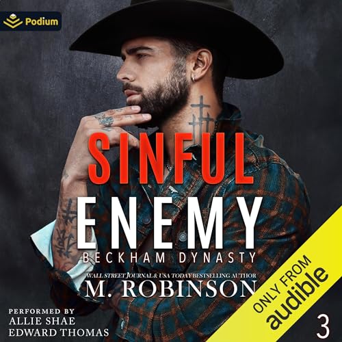 Cover of Sinful Enemy