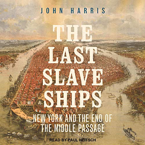 Cover of The Last Slave Ships