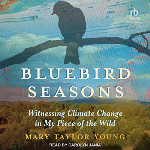 Cover of Bluebird Seasons