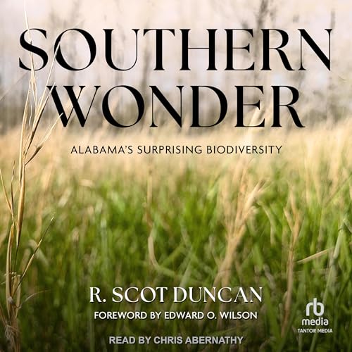 Cover of Southern Wonder