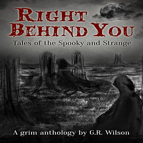 Cover of Right Behind You