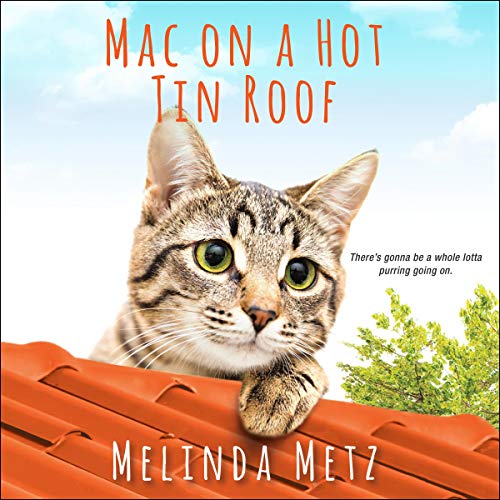 Cover of Mac on a Hot Tin Roof