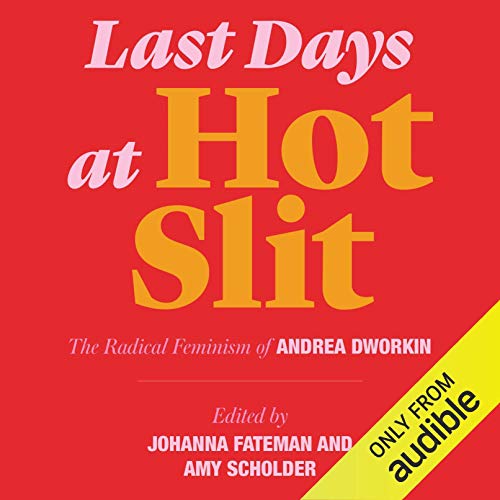 Cover of Last Days at Hot Slit