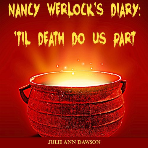 Cover of Nancy Werlock's Diary