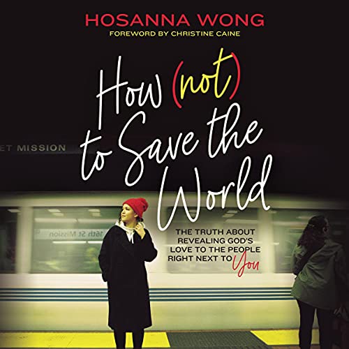 Cover of How (Not) to Save the World