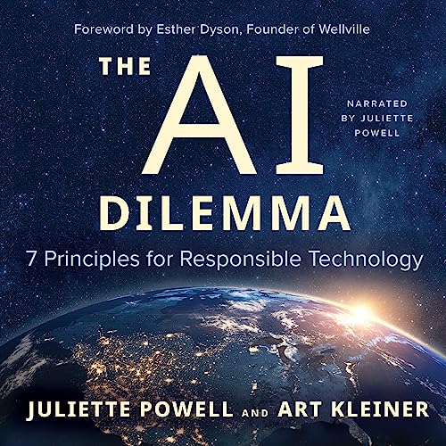Cover of The AI Dilemma