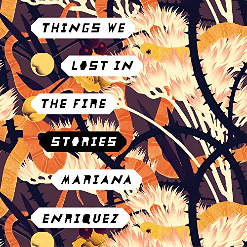 Cover of Things We Lost in the Fire