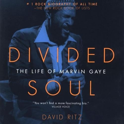 Cover of Divided Soul