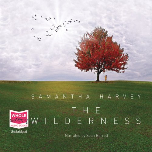 Cover of The Wilderness