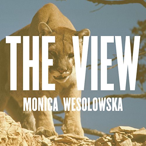 Cover of The View