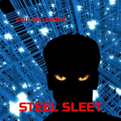 Cover of Steel Sleet