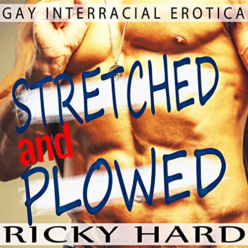 Cover of Gay Interracial Erotica - Stretched and Plowed