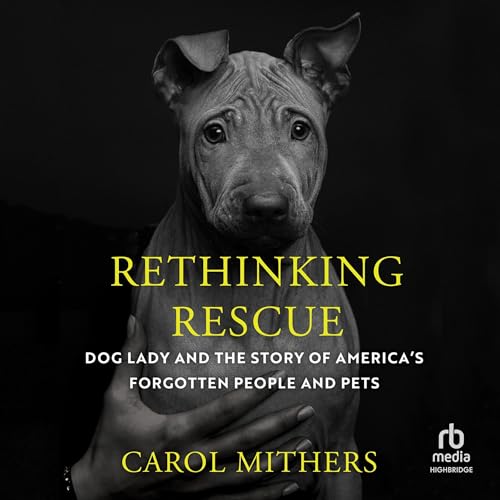 Cover of Rethinking Rescue