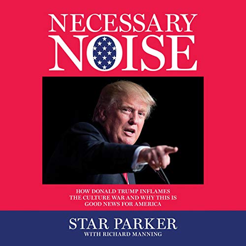 Cover of Necessary Noise