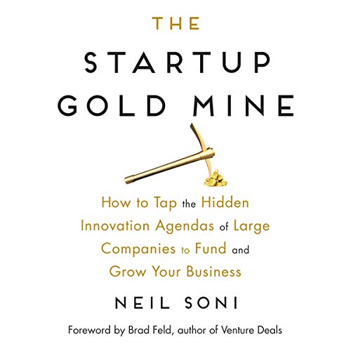 Cover of The Startup Gold Mine