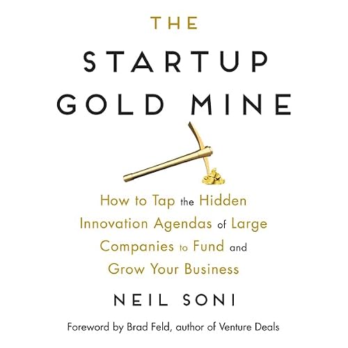 Cover of The Startup Gold Mine