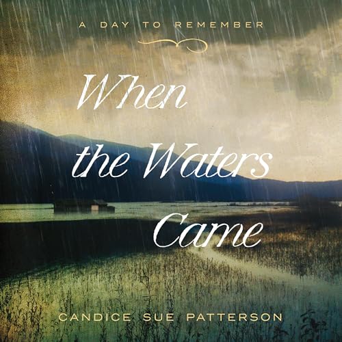 Cover of When the Waters Came