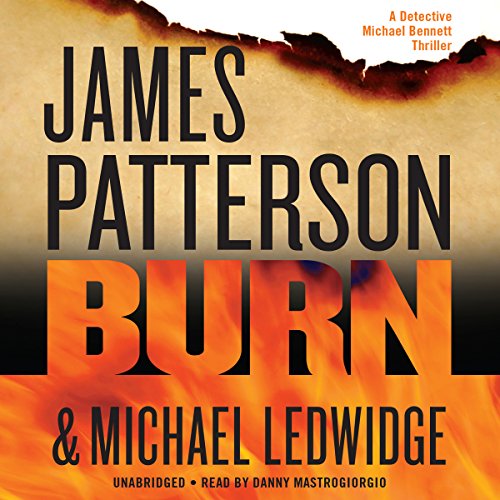 Cover of Burn