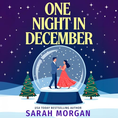 Cover of One Night in December