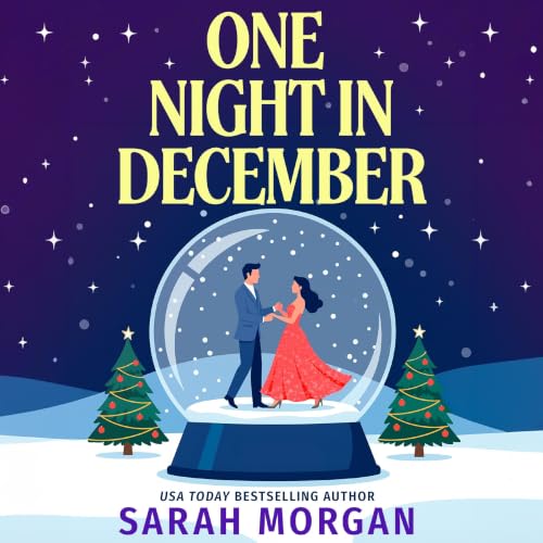 Cover of One Night in December
