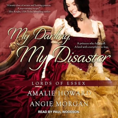 Cover of My Darling, My Disaster