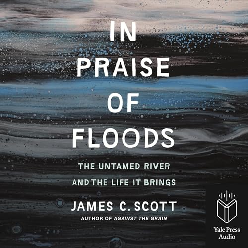 Cover of In Praise of Floods