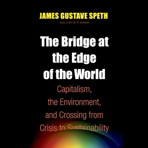 Cover of The Bridge at the End of the World