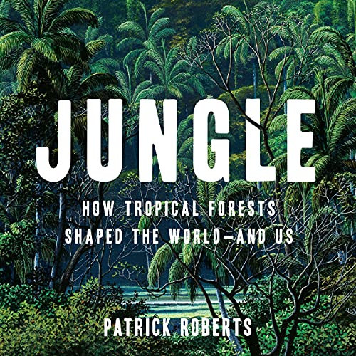 Cover of Jungle