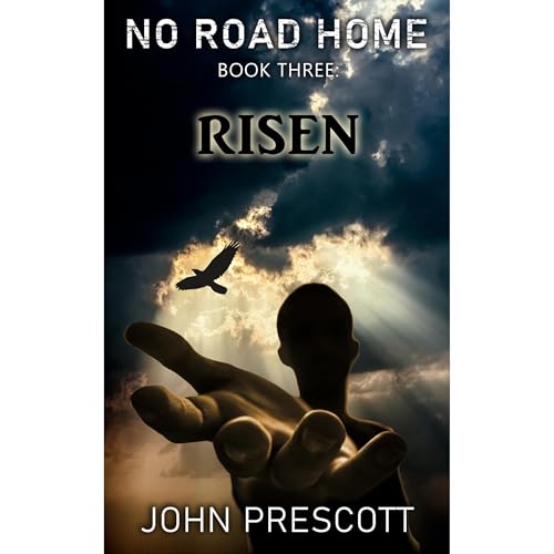 Cover of NO ROAD HOME Book Three: Risen